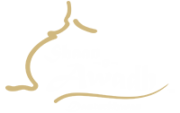 Shaan E Awadh 